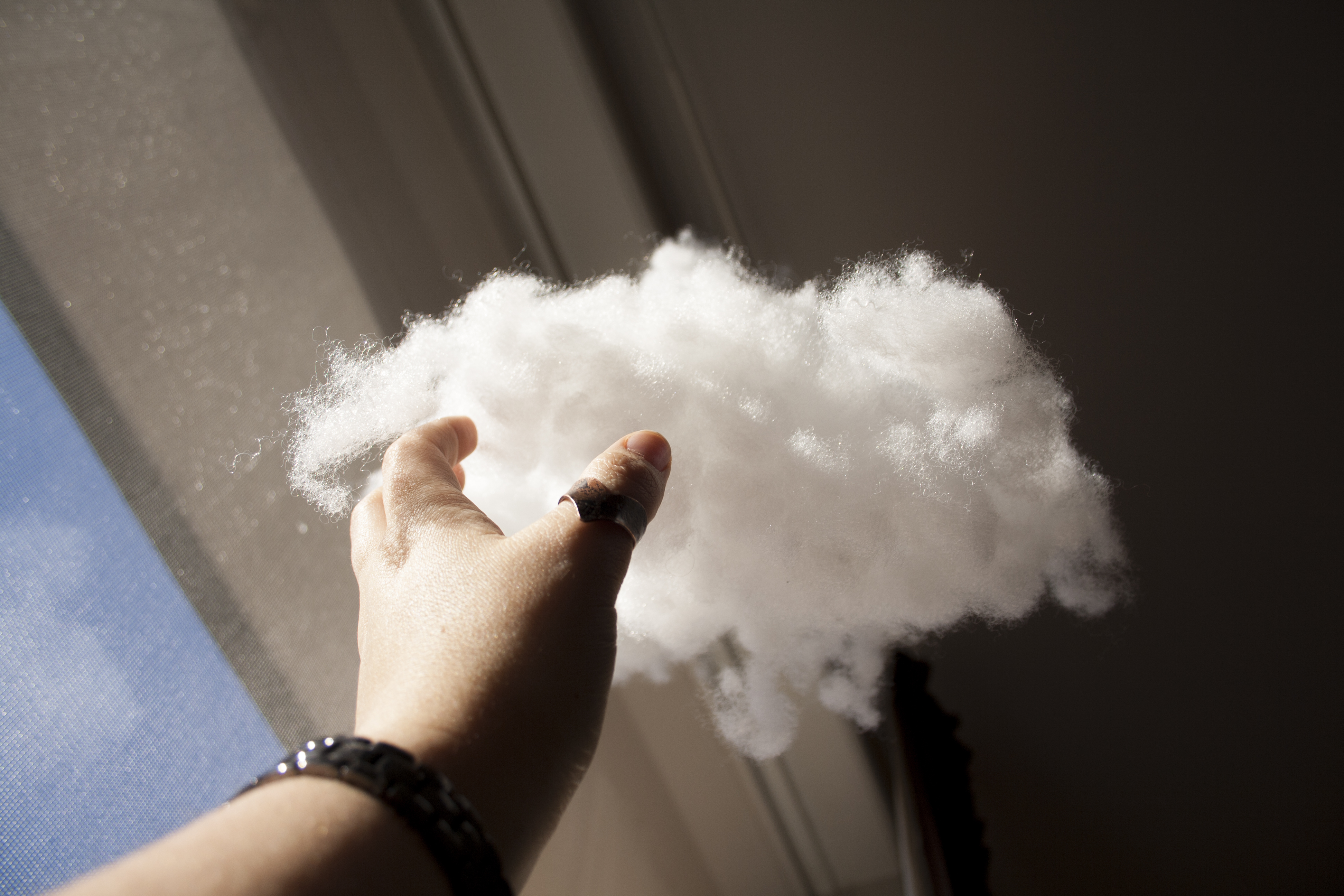 Belinda Neilson 2015