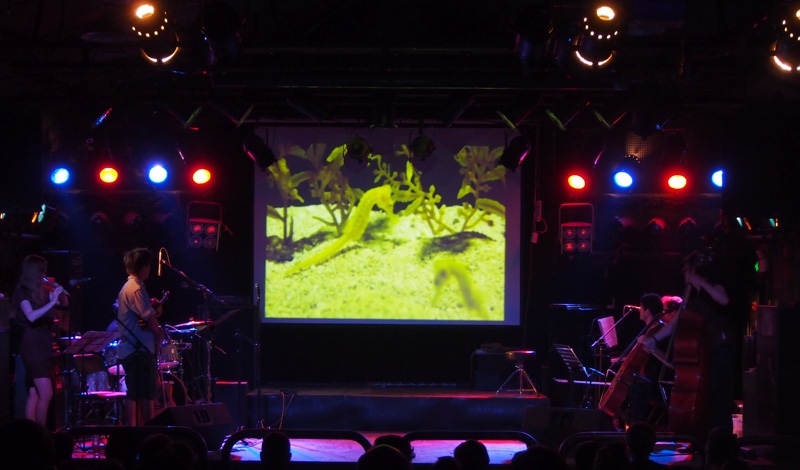 Cubular Oceans playing in Beijing, 2012 by Kathryn Goldie