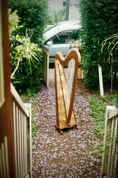 Harp in Jacaranda front garden. Photo by Lisa Kelly Tran 2022