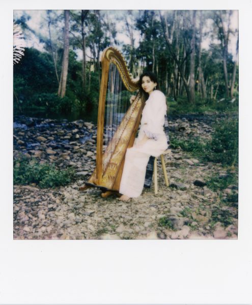 Polaroid of Harp at creek. Photo credit - Matthew Doueal